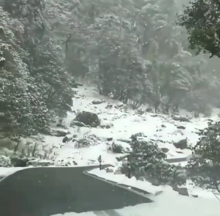 snow road