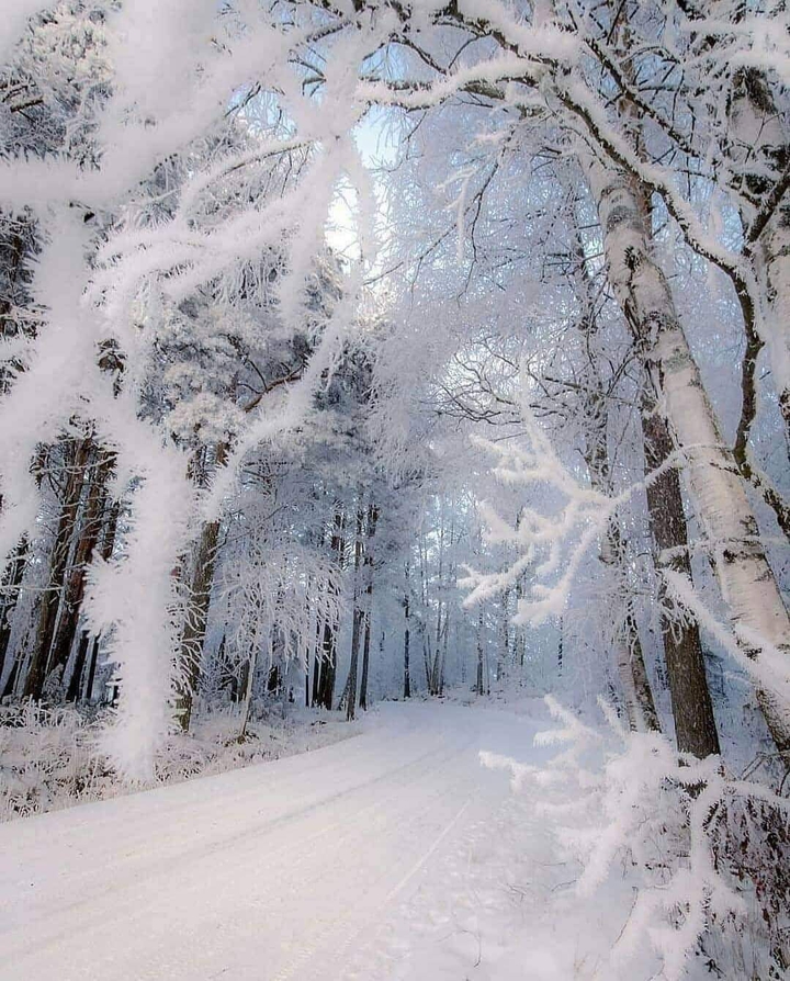 winter