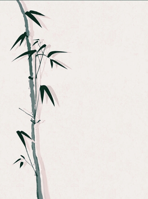 Bamboo