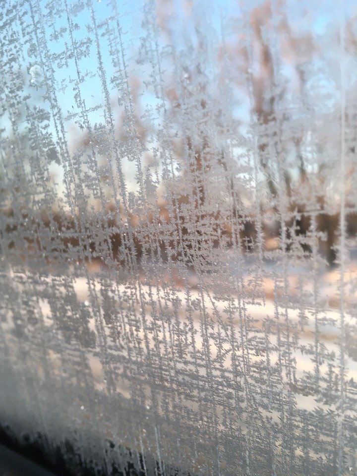 frost