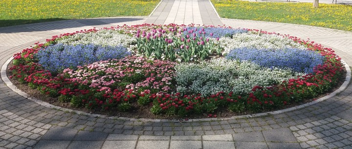 flower circle