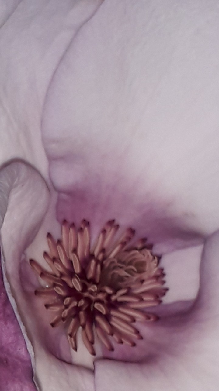 ¤¤●♤●¤¤