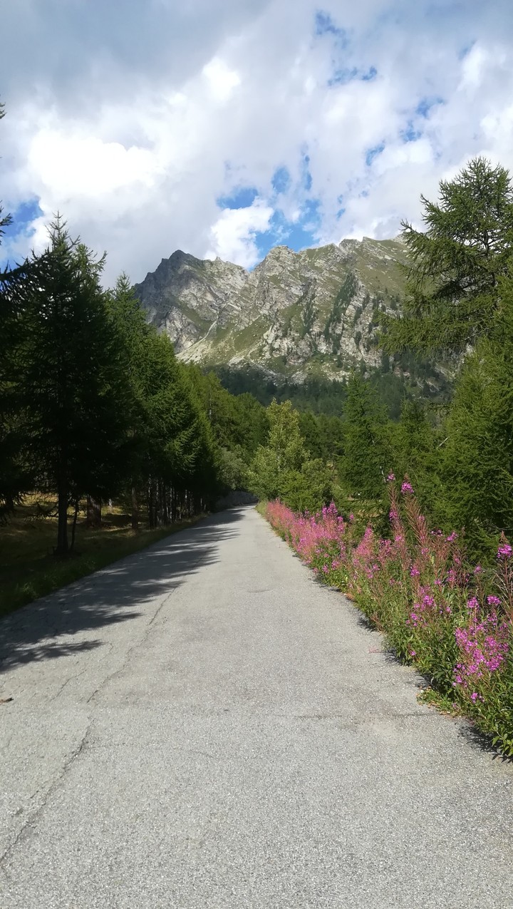 the way to the mountains