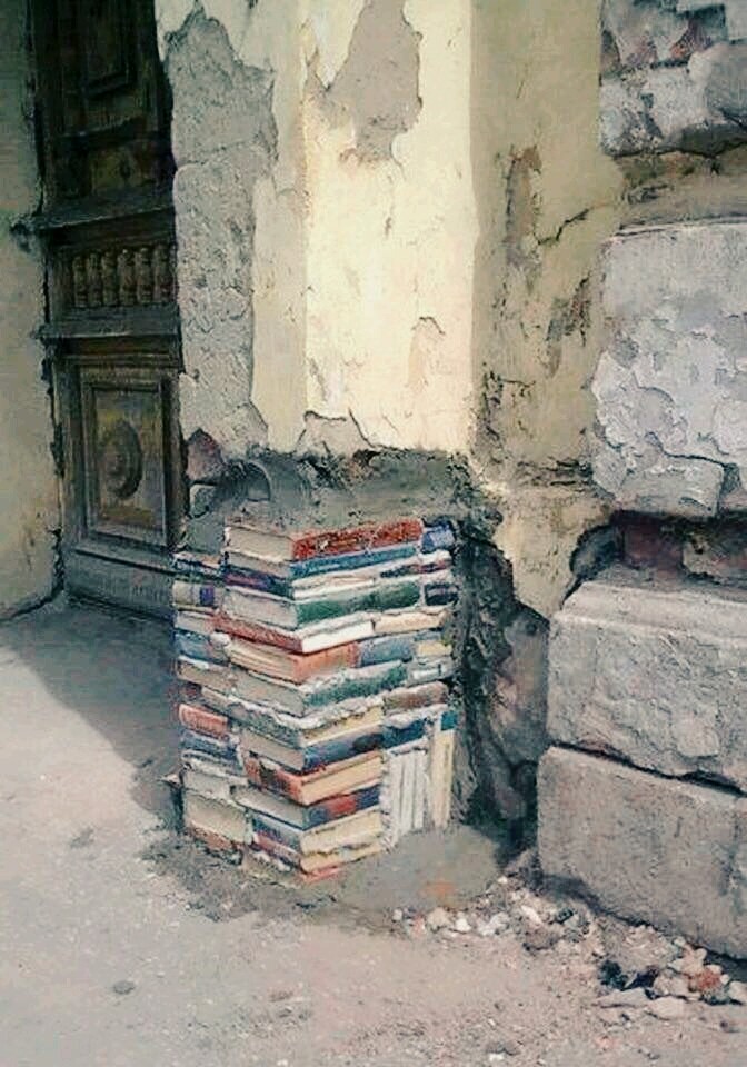 The Education is the basis of everything