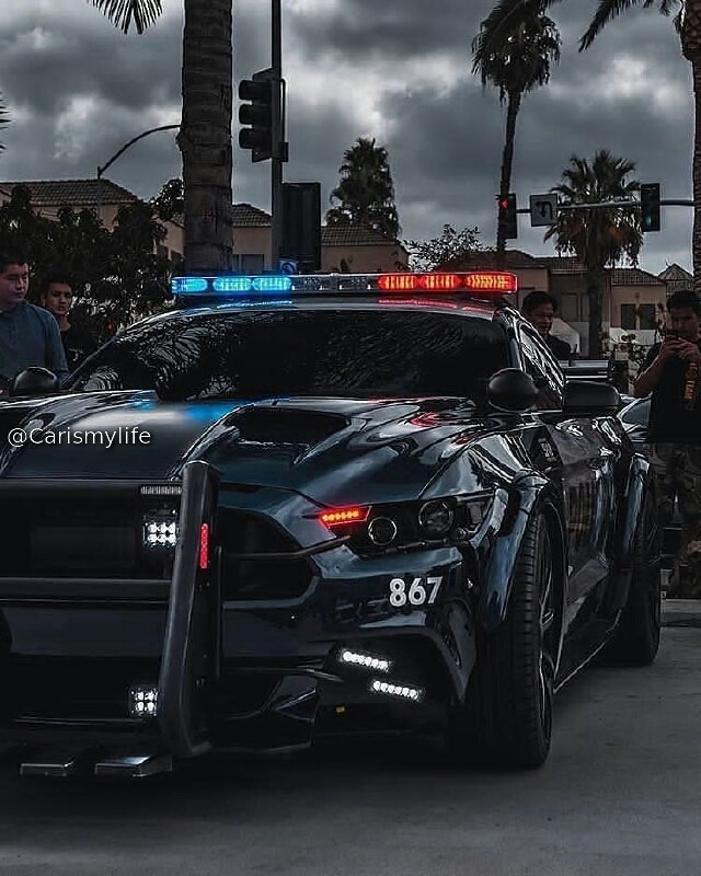 police car