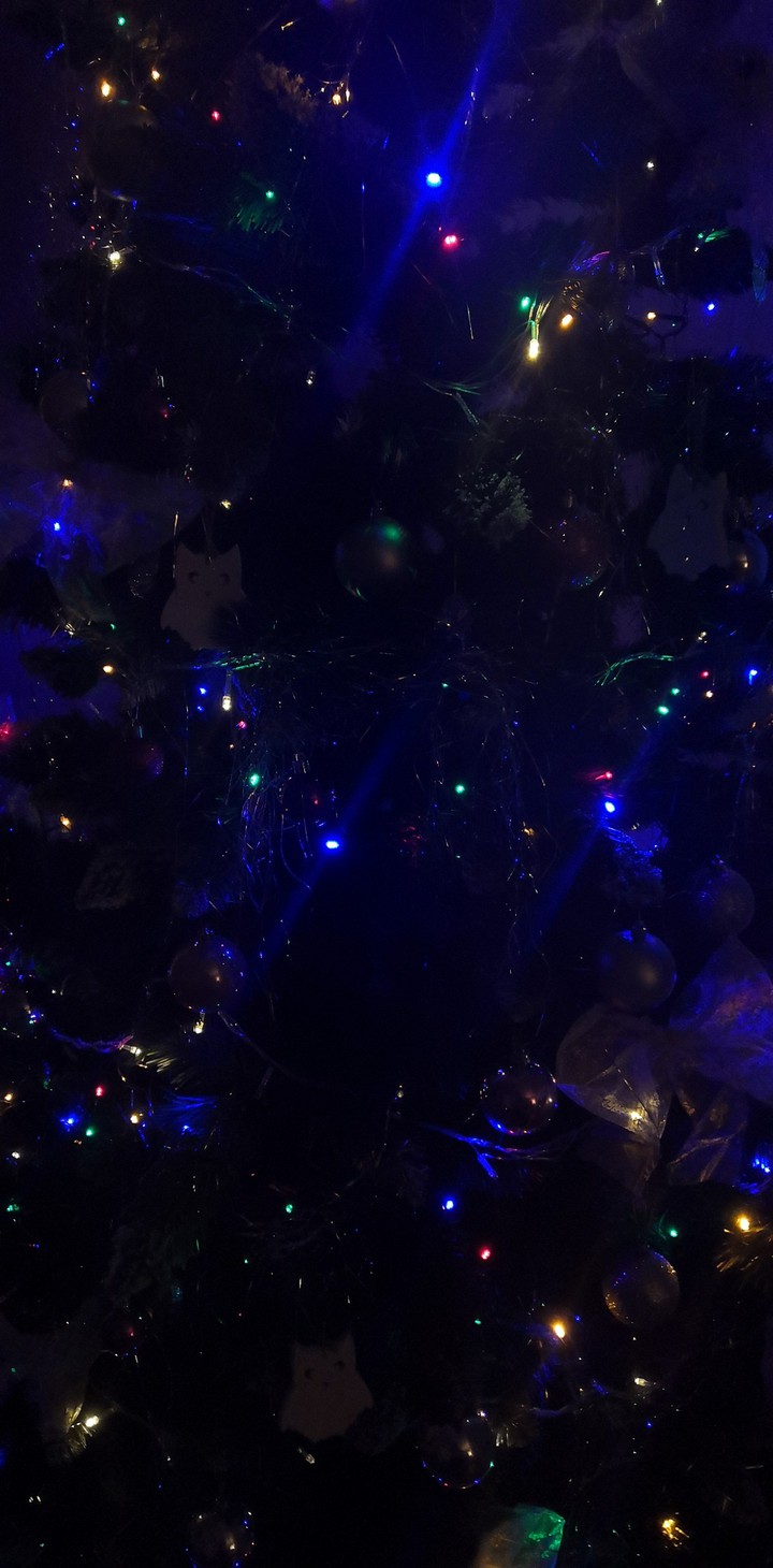 Dark_lights