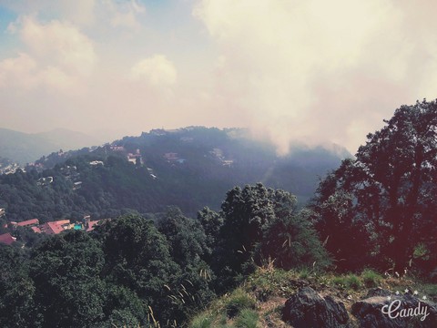 NATURE