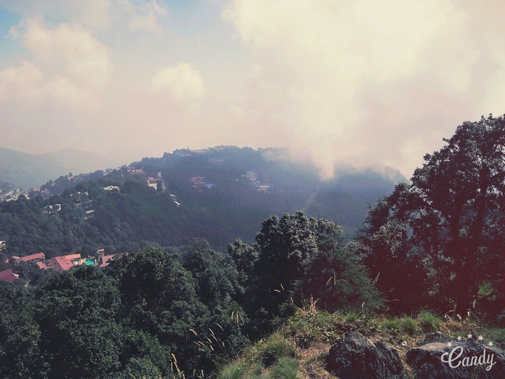 NATURE