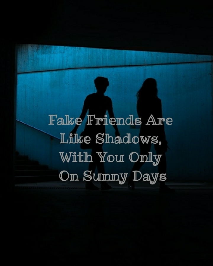 Fake Friends