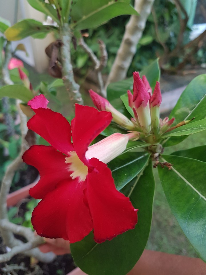 nature's colors