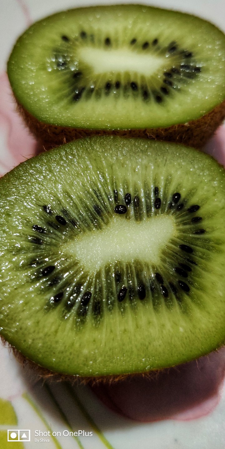 kiwi