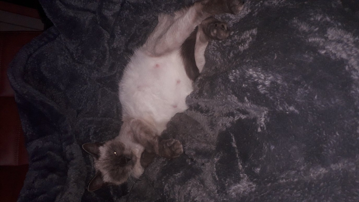 pregnant