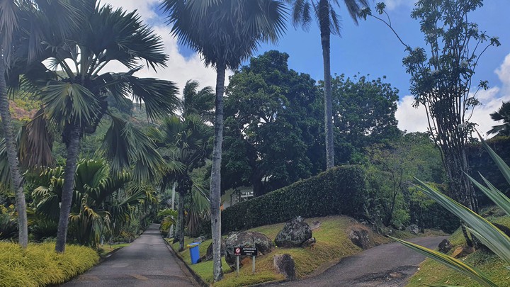 mahe botanic garden 2021