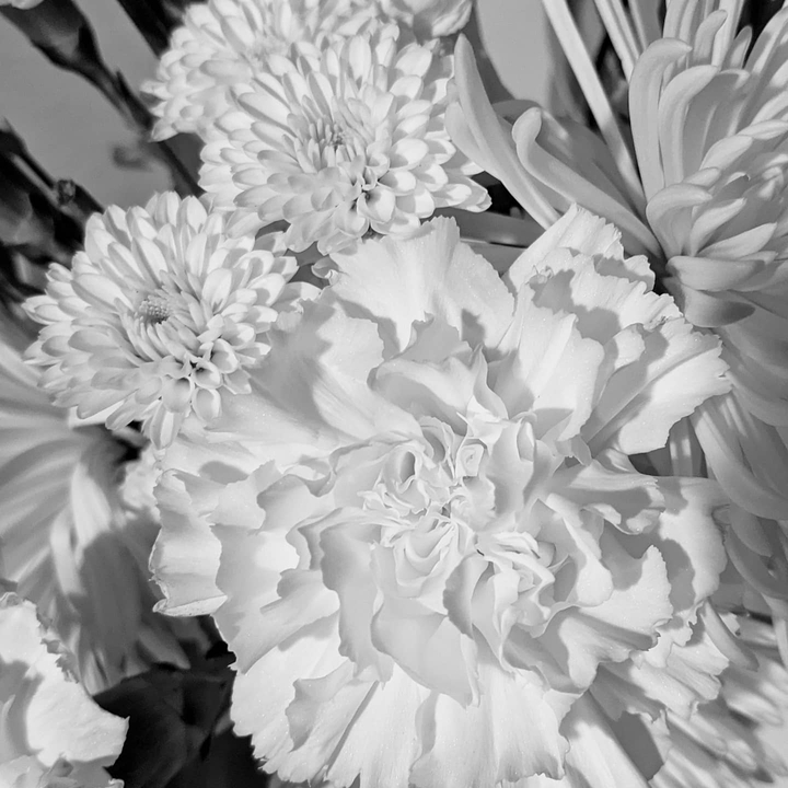 Black & white flowers