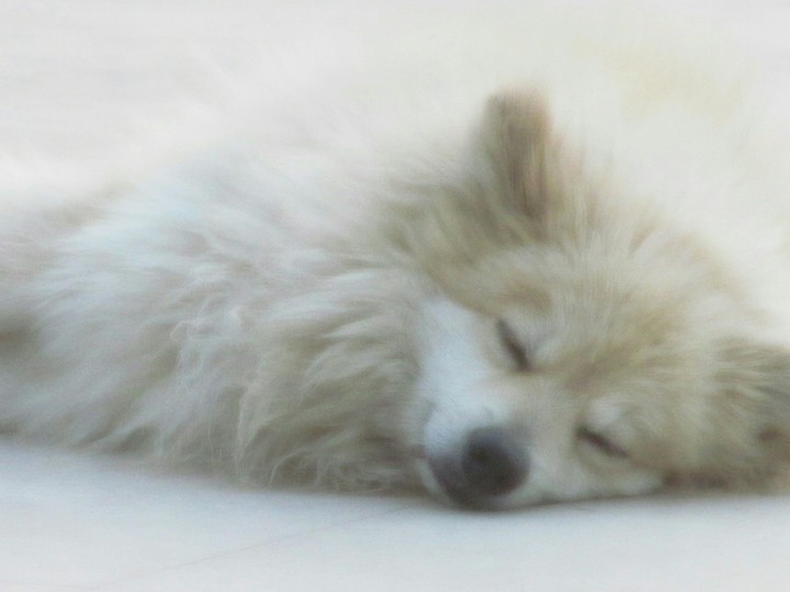 Kuno'