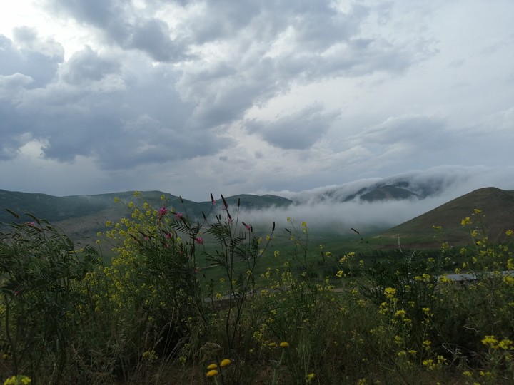 nature