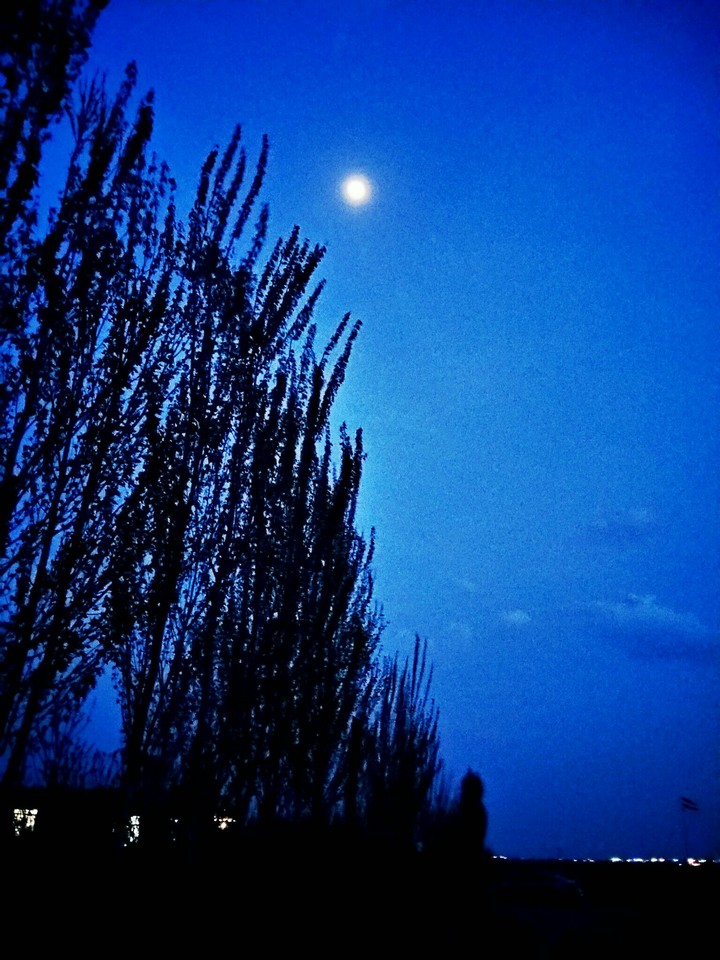 night