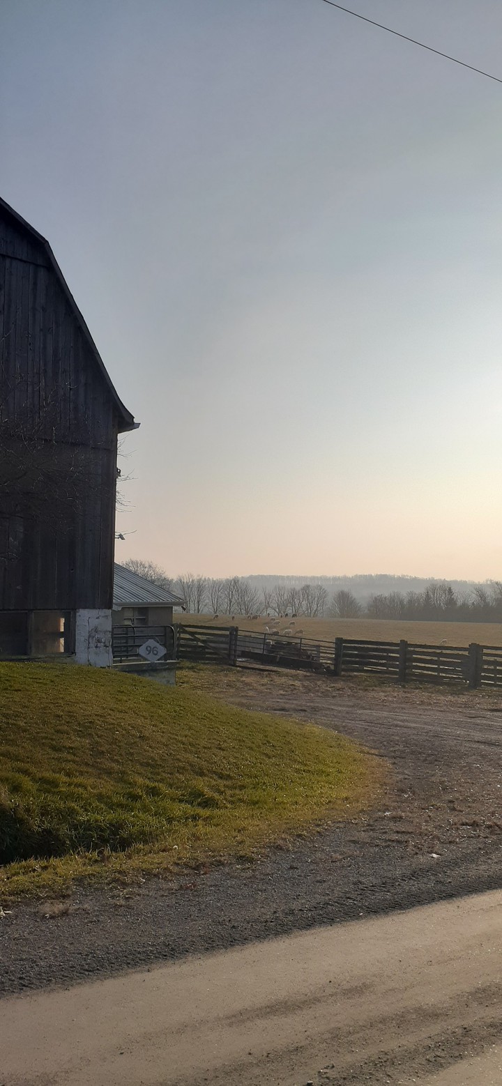 Farm