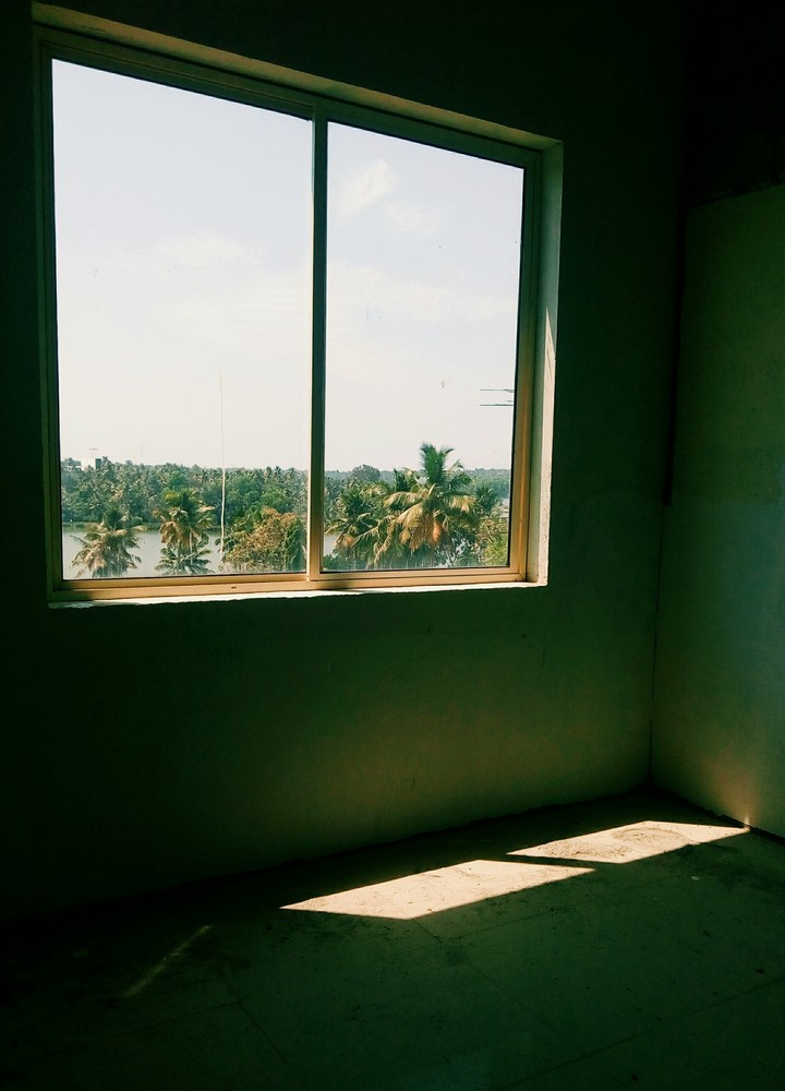 #window #nature