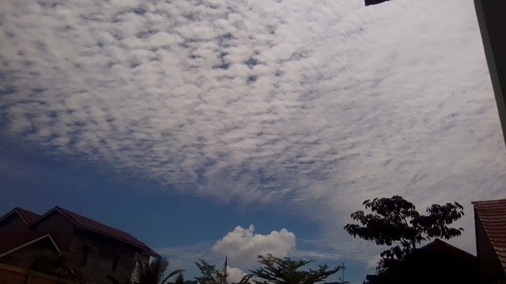 sky blue