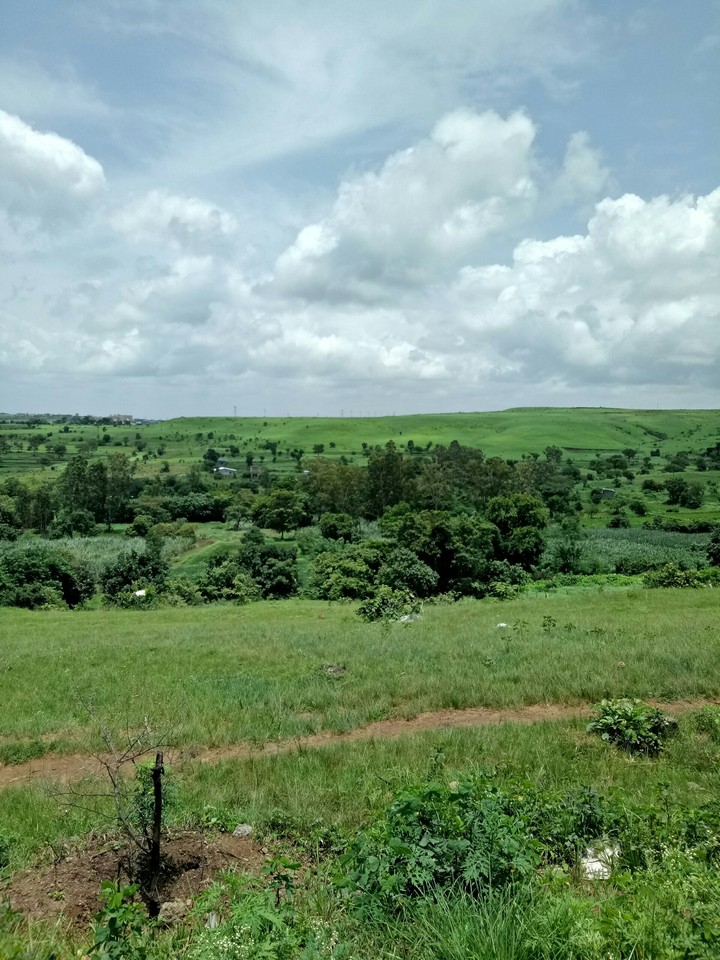 kolhapur girgaon