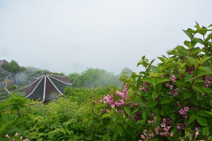 용문산이미지