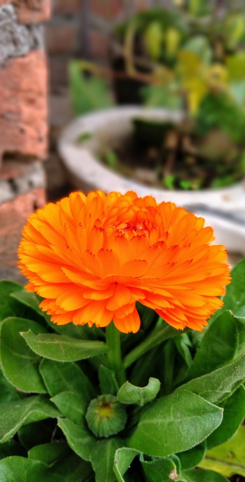 photography