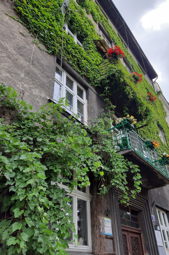 Bright house