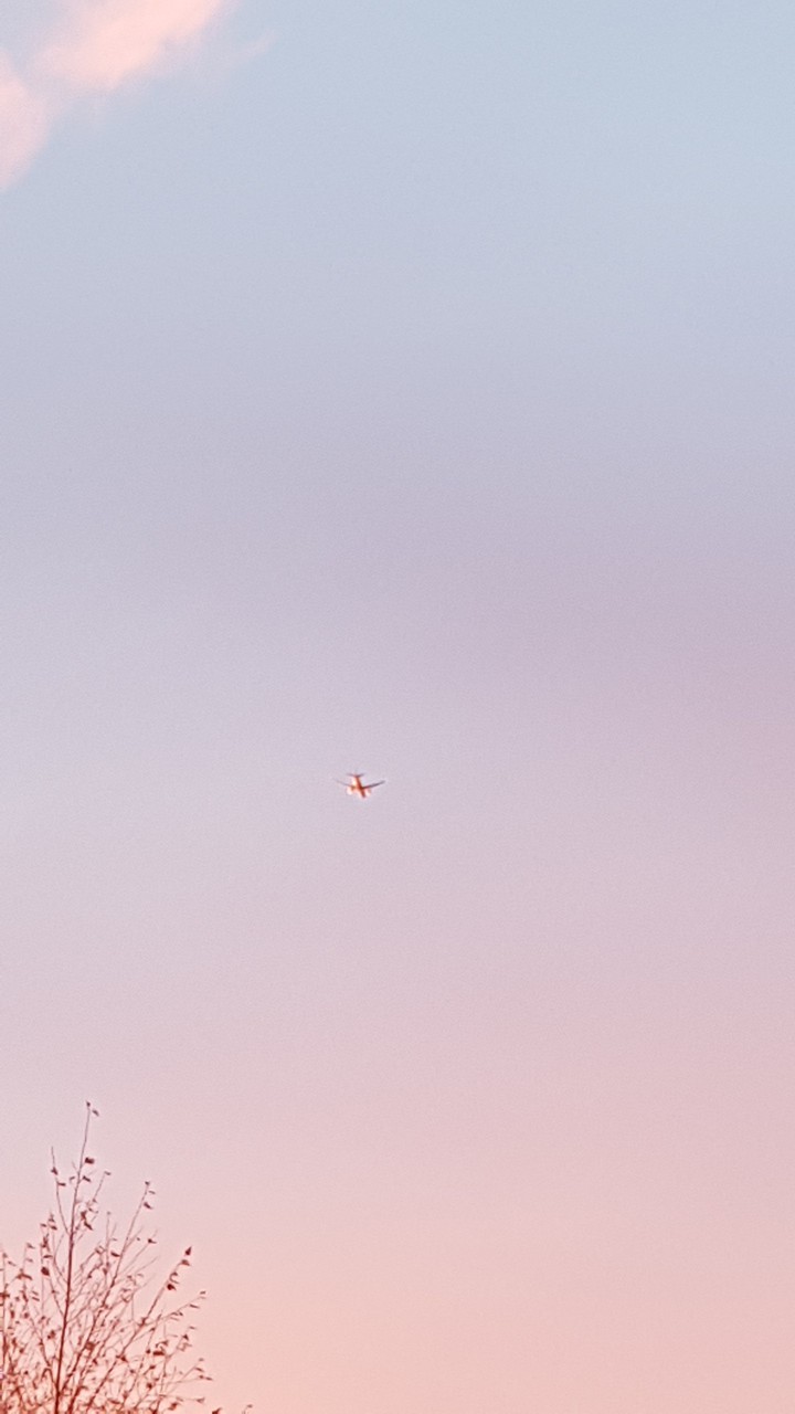 tiny plane