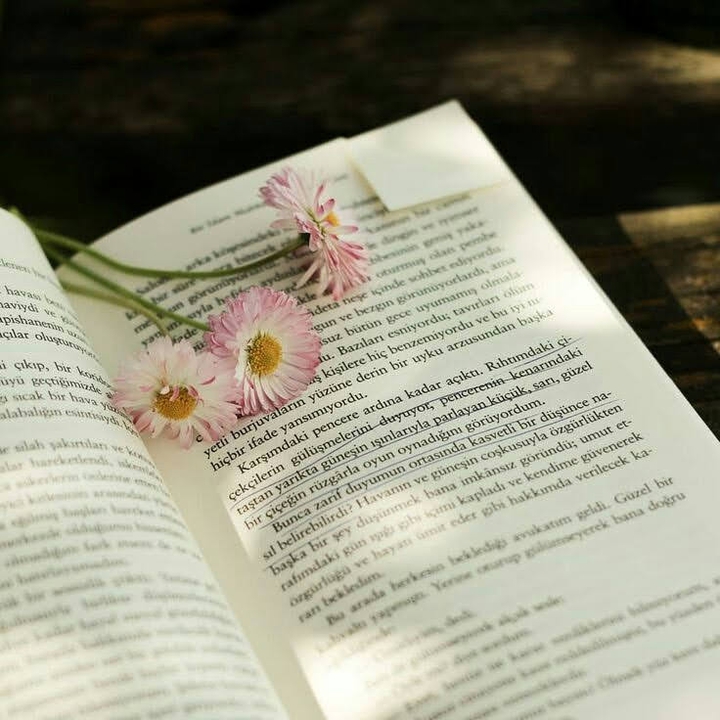 Bi kitap