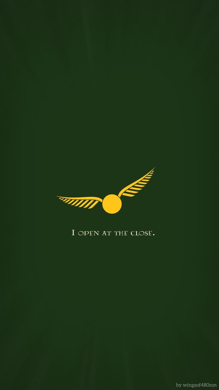 QUIDDITCH