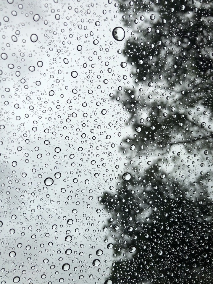 rain