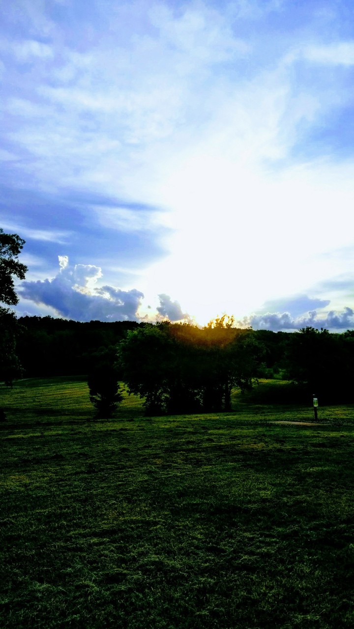 sunlight