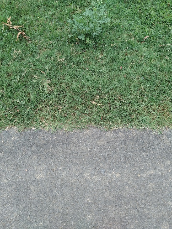 Road and Grass