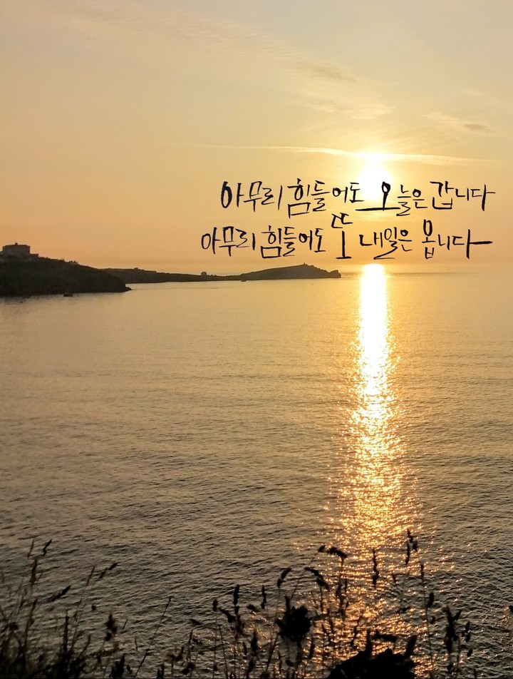 캘리