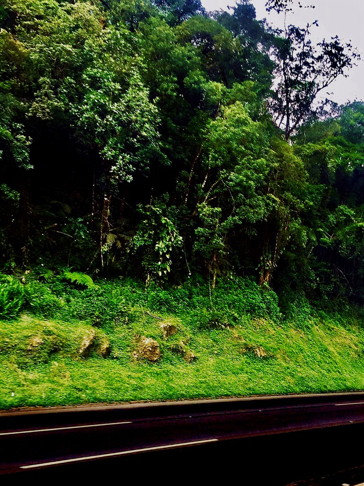 Wonderful Landscapes