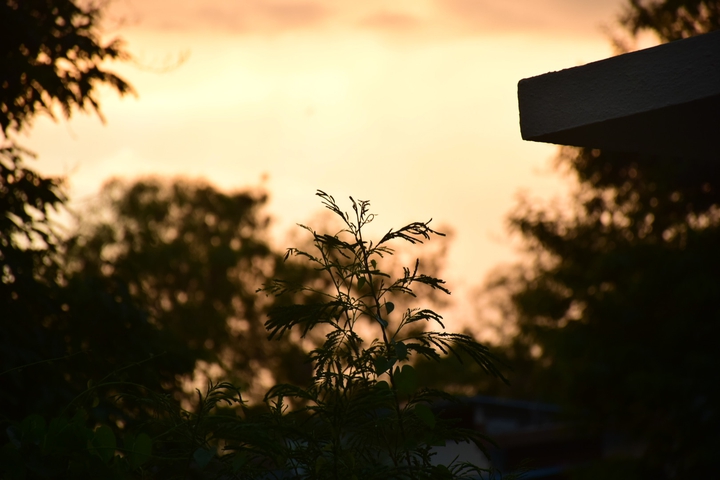 Sunset Bokeh