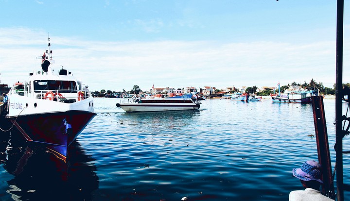 The Harbor