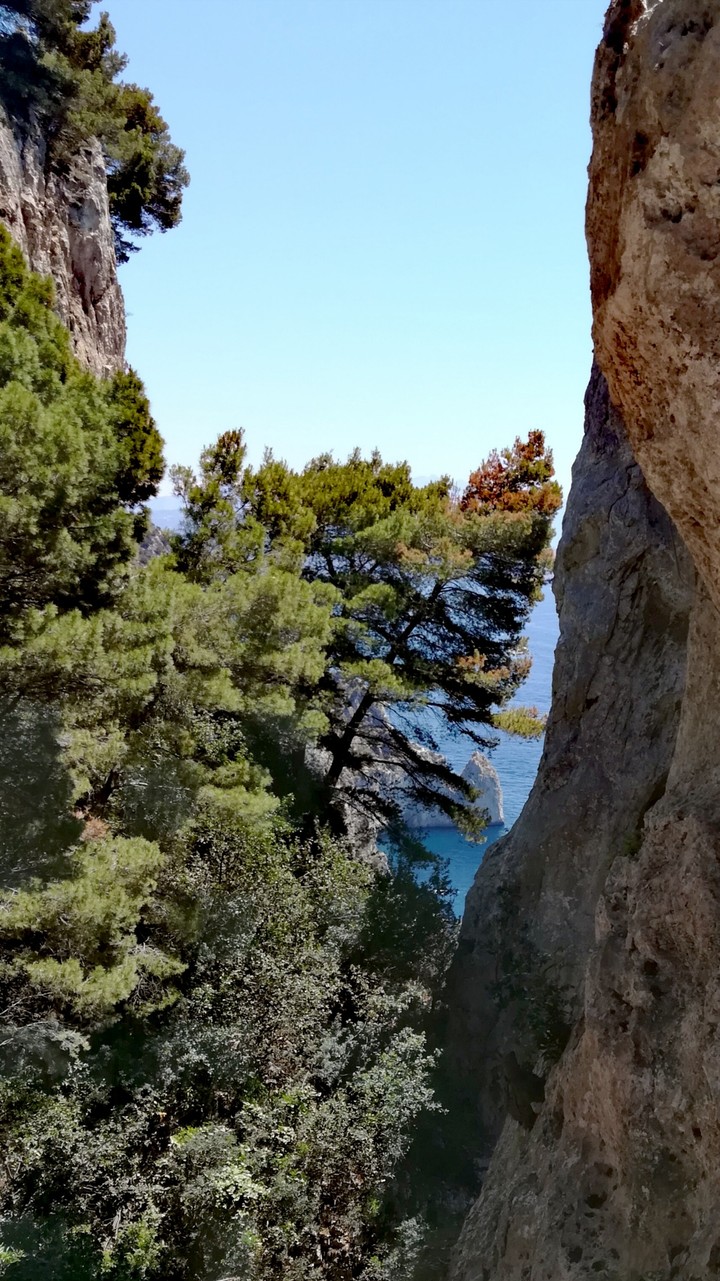 Capri
