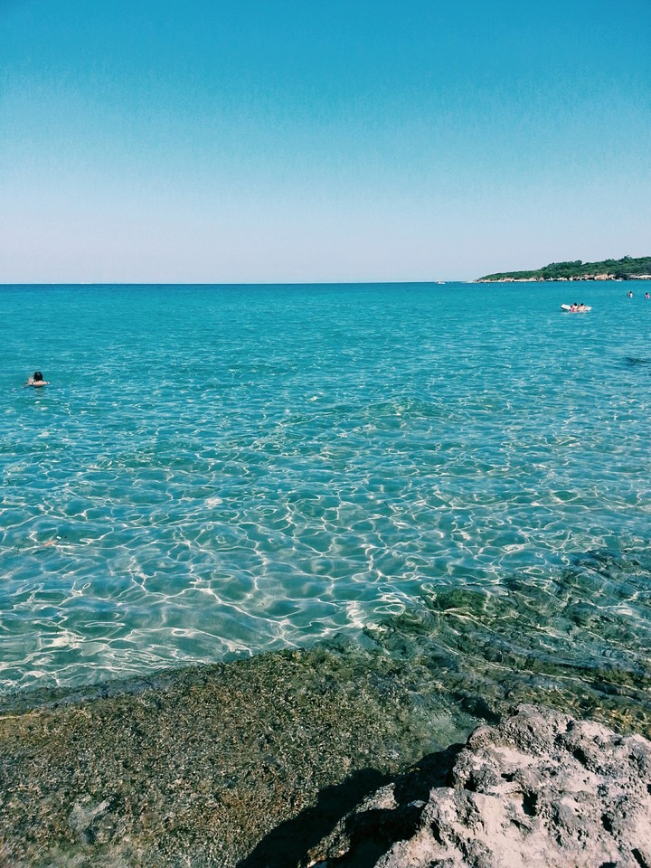 mare