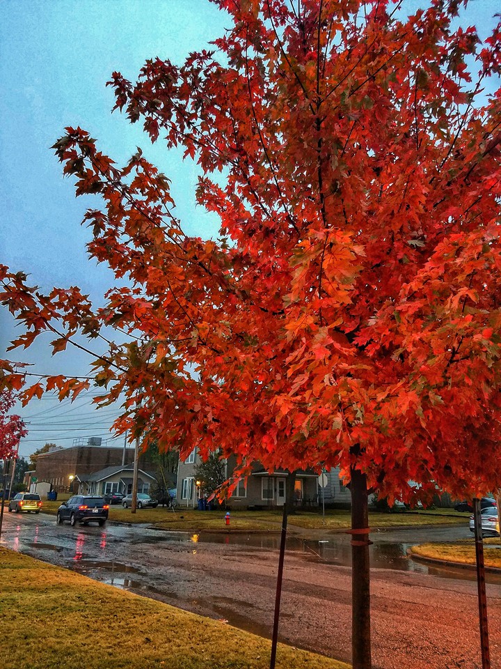 fall is here