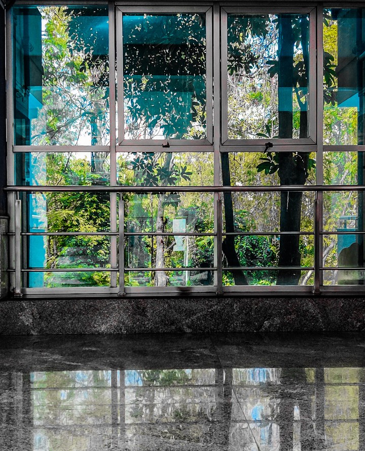 windows