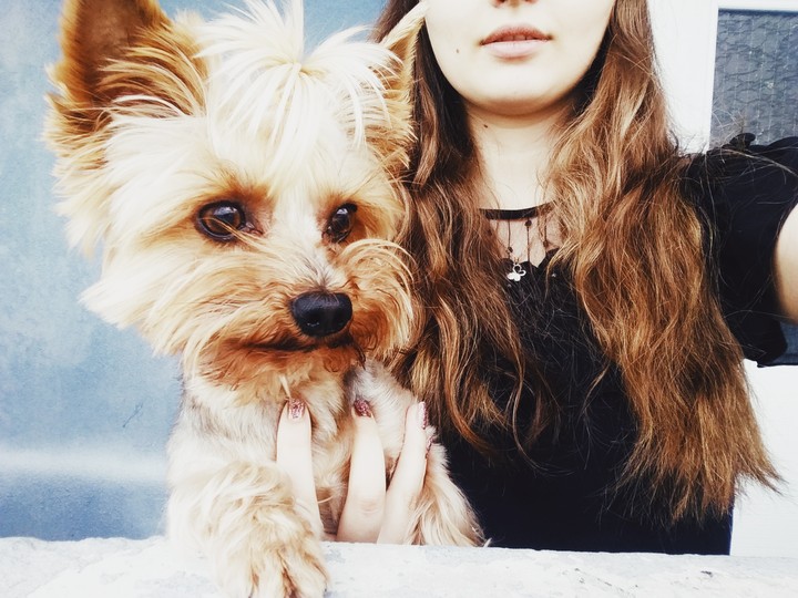 Dog #Alina