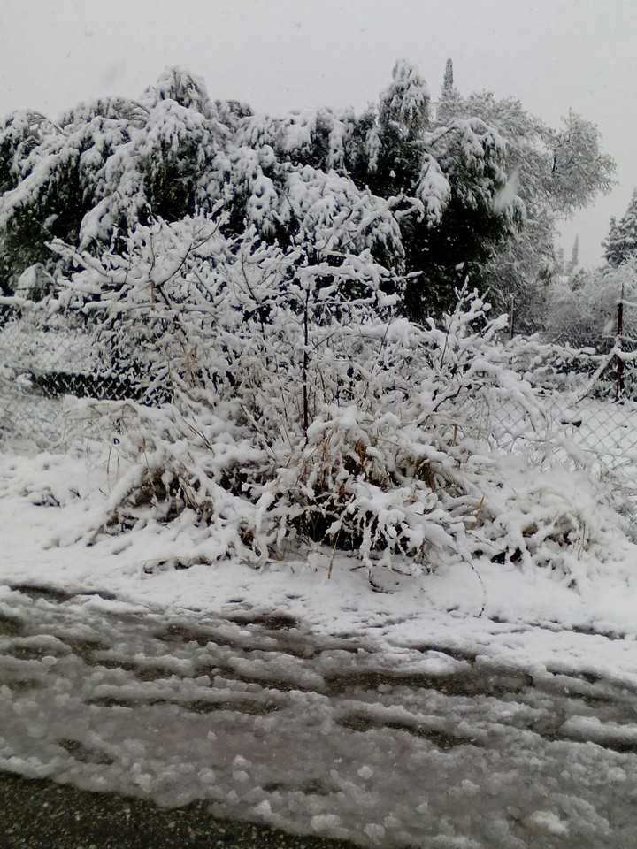 snow