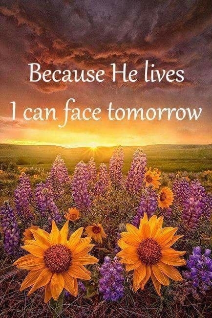 Yes, I can!