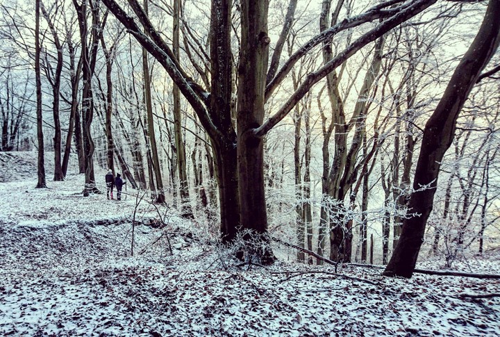 Winter tales