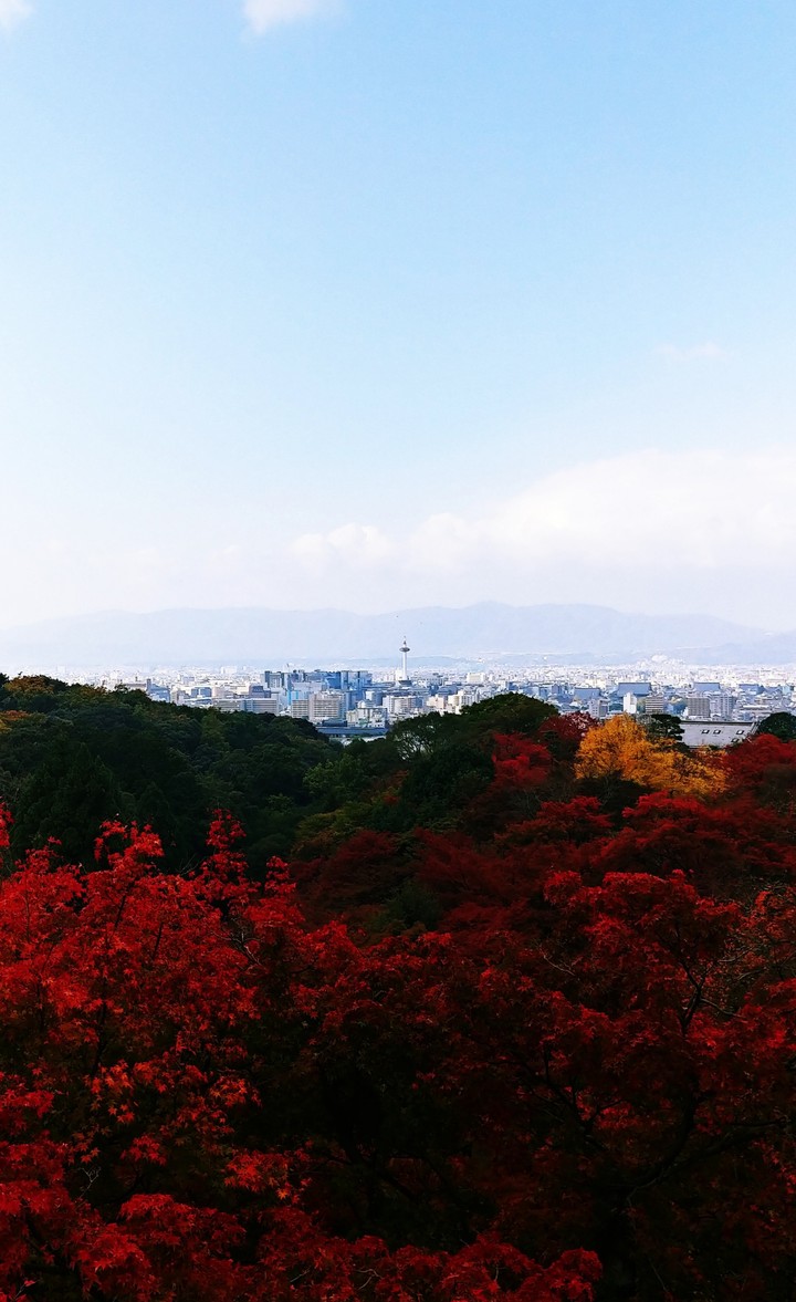 japan2
