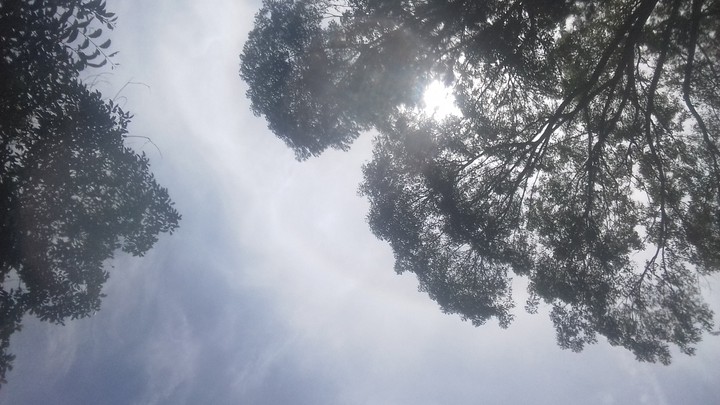 paisagem