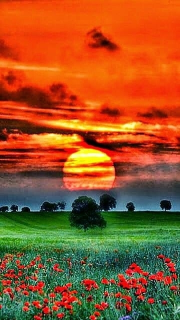 Nature.