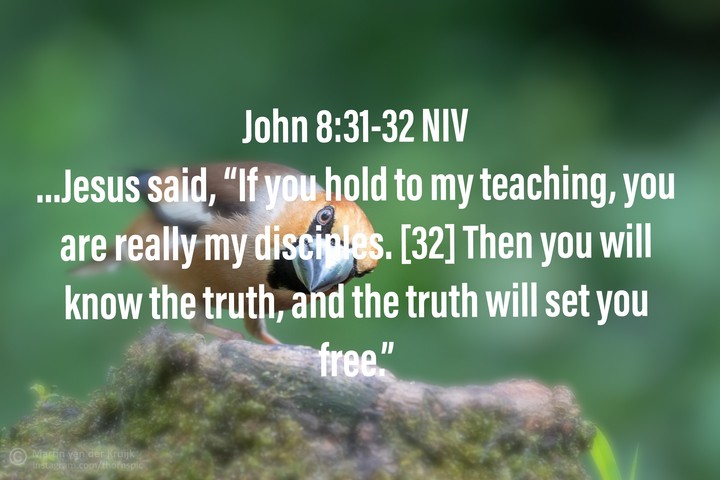 TRUTH WILL SET U FREE